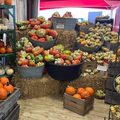 The Pumpkin